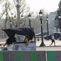 20100424 181615